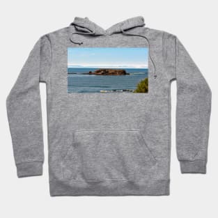 Otter Crest Beach Oregon Hoodie